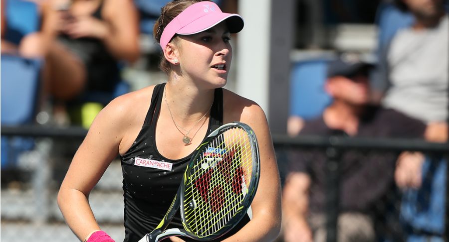 展现了极高 展现了极高